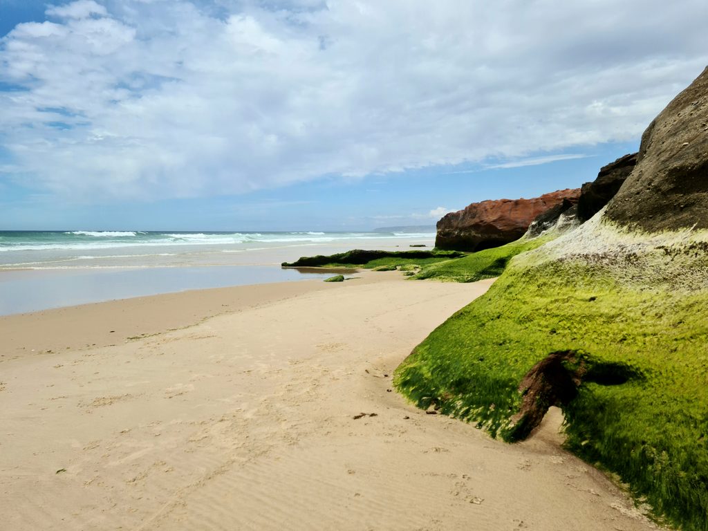 A remote, undeveloped sandy beach with waves breaking under a bright sky, backed by open coastline