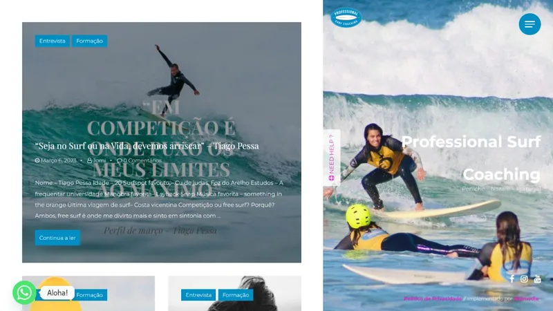 Preview of the official Professional Surf Coaching website