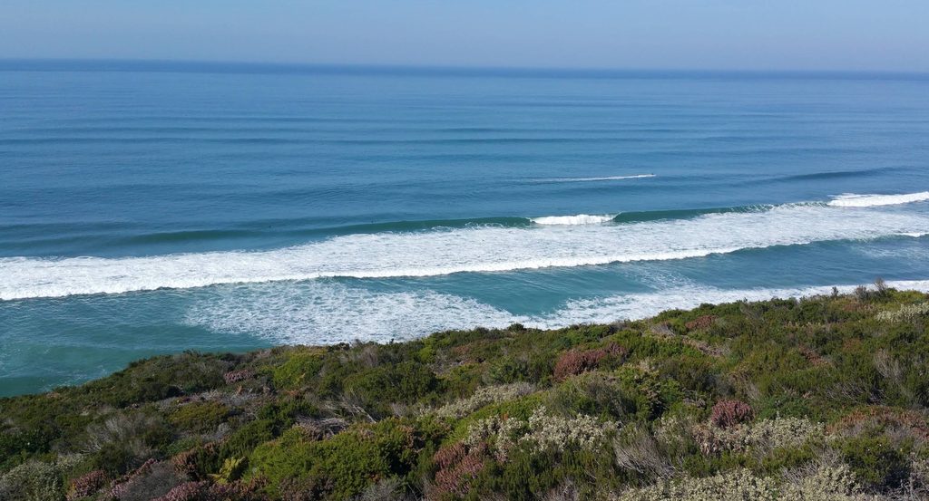A wide, quiet sandy beach with golden dunes and green woodland behind it